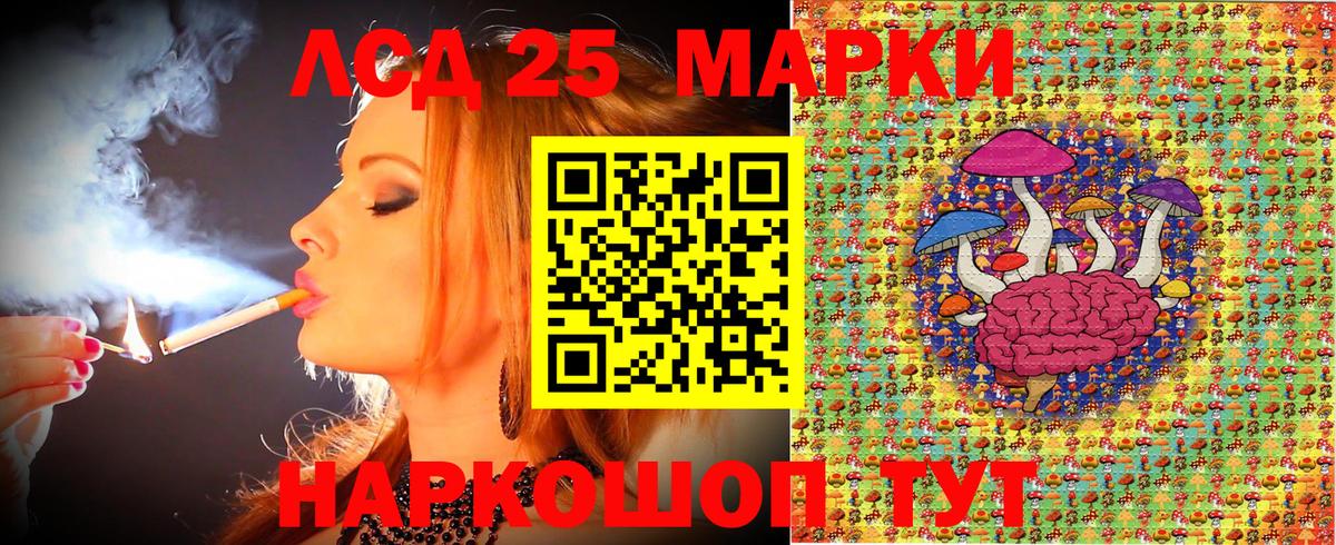 Марки N-bome 1,5мг  сколько стоит  Курчалой  Вход с VPN 