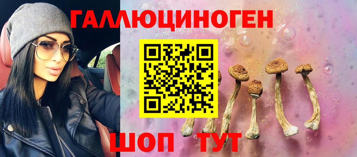 Курчалой  Галлюциногенные грибы Psilocybe  Вход с VPN 
