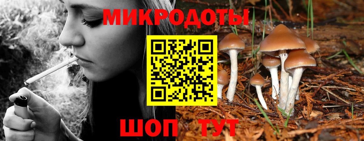 Псилоцибиновые грибы мицелий Курчалой