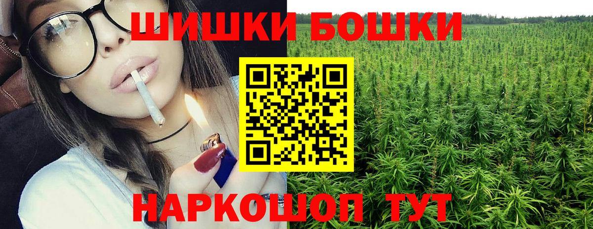 Канабис гибрид Курчалой